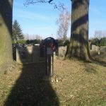 20161104_131041-kopiowanie