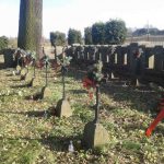 20161104_131119-kopiowanie