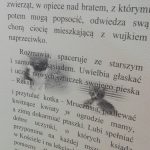 grudziea-2016-069-kopiowanie