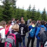 20170614_135013-kopiowanie