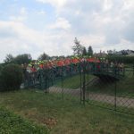 img_0155-kopiowanie