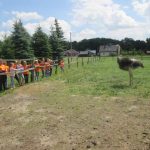 img_0168-kopiowanie
