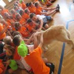 img_0193-kopiowanie