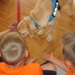 img_0195-kopiowanie