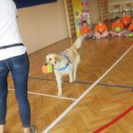img_0201-kopiowanie