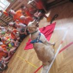 img_0202-kopiowanie