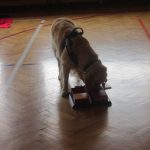 img_0204-kopiowanie