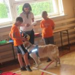 img_0206-kopiowanie
