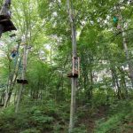 img_20170704_134205-kopiowanie