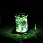 22264780_2177548392472252_1478784390_n-kopiowanie