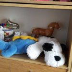 20171205_130844-kopiowanie