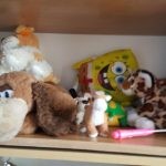 20171205_130851-kopiowanie