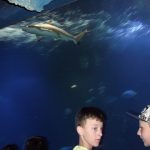 wroclaw-19-20-iv-2018-037-kopiowanie-kopiowanie