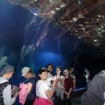 wroclaw-19-20-iv-2018-041-kopiowanie-kopiowanie