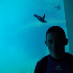 wroclaw-19-20-iv-2018-049-kopiowanie-kopiowanie