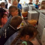 20180515_104730-kopiowanie