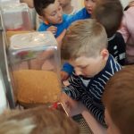 20180515_104900-kopiowanie