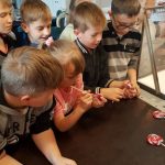 20180515_111939-kopiowanie