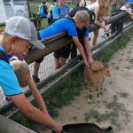 35126942_2107317476181906_8489946877175791616_n-kopiowanie