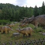 36063680_2107334629513524_6319402291338149888_n-kopiowanie