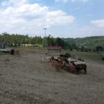 36137031_2107316896181964_3546842116829216768_n-kopiowanie