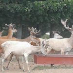 36176758_2107318092848511_5298799151343992832_n-kopiowanie