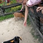 36177361_2107317912848529_1873498510138015744_n-kopiowanie