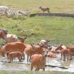 36188351_2107317722848548_6530230171335655424_n-kopiowanie