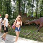 36188539_2107318346181819_7789180734714937344_n-kopiowanie