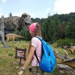 36188847_2107320346181619_6017829092475273216_n-kopiowanie