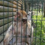 36189330_2107317156181938_7753977847022092288_n-kopiowanie