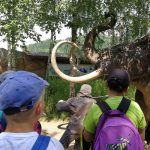 36199780_2107314892848831_279029864713945088_n-kopiowanie