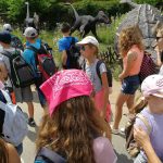 36224886_2107322189514768_6926269084224978944_n-kopiowanie