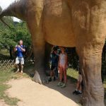 36225546_2107317576181896_4892090225431412736_n-kopiowanie