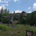 36251572_2107323556181298_4574280748814565376_n-kopiowanie