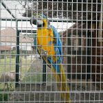 36255735_2107314976182156_4994211727252914176_n-kopiowanie