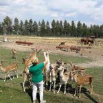 36275782_2107317306181923_4803795537595727872_n-kopiowanie