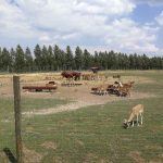 36275974_2107324169514570_5690935266106146816_n-kopiowanie