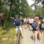 36287214_2107315976182056_6607585517338886144_n-kopiowanie