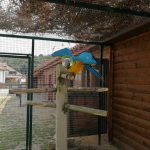 36298429_2107318782848442_6289283949139066880_n-kopiowanie