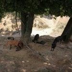 36304228_2107319869515000_5044420350209687552_n-kopiowanie