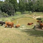 36310221_2107335619513425_4678007327159222272_n-kopiowanie