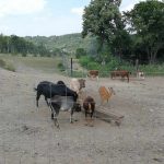 36321585_2107415086172145_3292742144971767808_n-kopiowanie