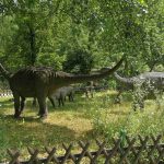 36336031_2107336719513315_8981079445490106368_n-kopiowanie