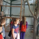 20180703_112928-kopiowanie