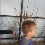 20180703_112955-kopiowanie