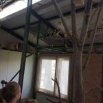 20180703_113004-kopiowanie