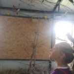 20180703_113033-kopiowanie