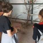 20180703_113430-kopiowanie