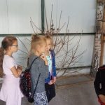 20180703_113447-kopiowanie